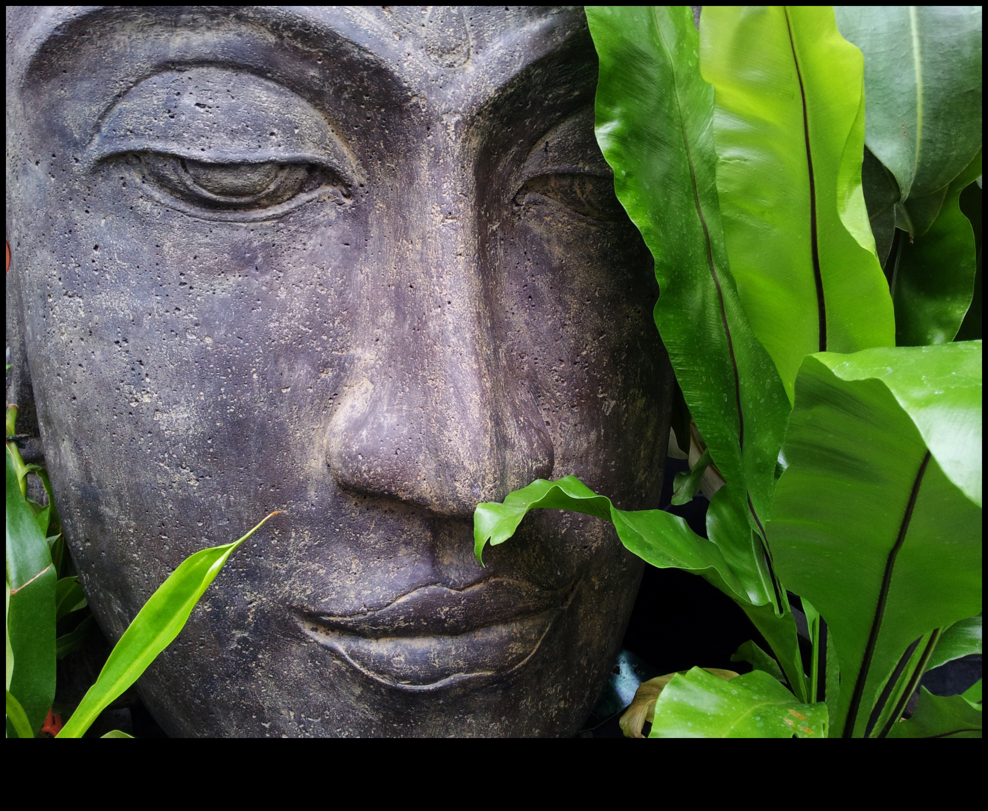 פיסול שלווה: פרויקטי עשה זאת בעצמך לגן שליו