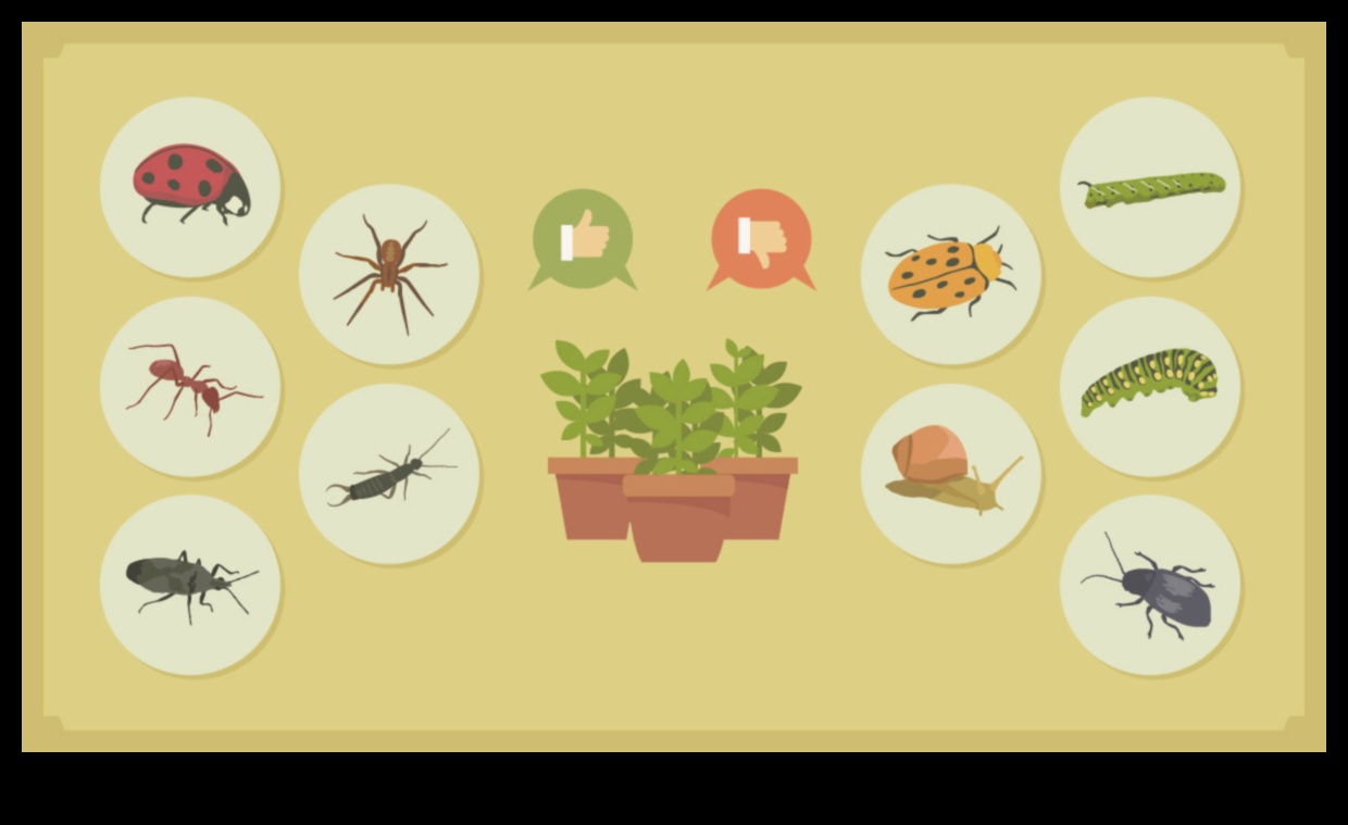 ביצור גן: שמור על מזיקים במפרץ