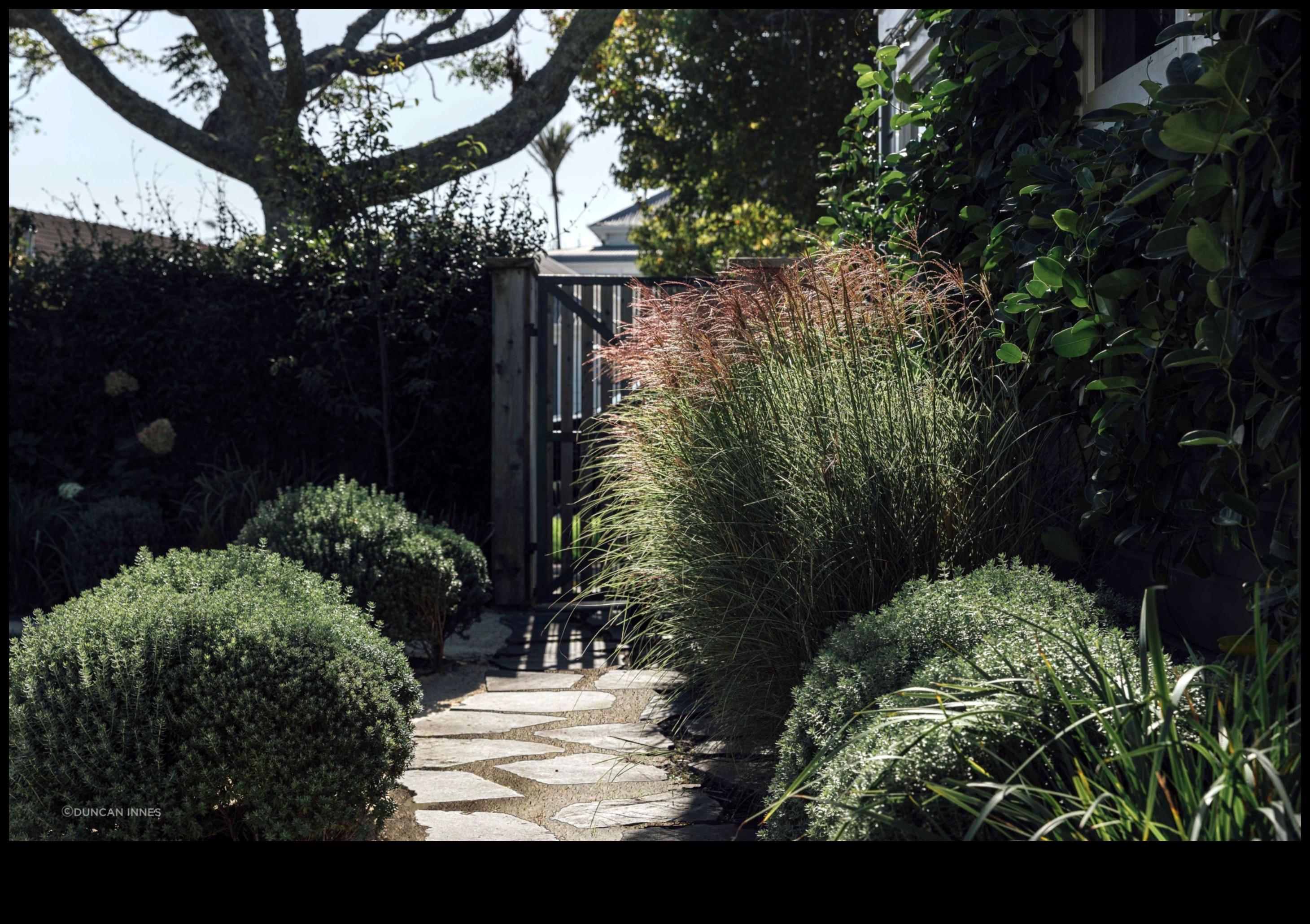 חוסן שורשי: החוזק של תחזוקת גינות מומחה