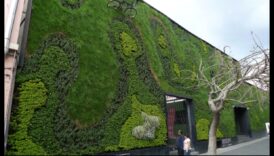 Green Living, Green Growing The Art of Organic Gardens 6 חיים ירוקים, גידול ירוק: אמנות הגנים האורגניים