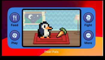 חברים מפוקסלים: גילוי חברות ברשתות חברתיות