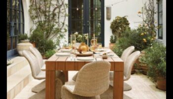 נווה מדבר חיצוני: הרם את אסתטיקת הגינה שלך עם תפאורה