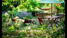 המליץ פיסול 5 טכניקות להחדיר לא אלים לנווה המדבר החיצוני האישי שלך 1 אושר פיסולי: הפקת שלווה לנווה המדבר החיצוני שלך