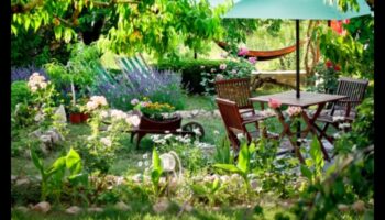 אושר פיסולי: הפקת שלווה לנווה המדבר החיצוני שלך