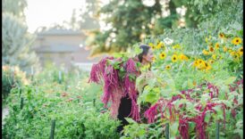 לטפח הצלחה: טיפים פנימיים לגינה פורחת