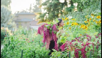 לטפח הצלחה: טיפים פנימיים לגינה פורחת