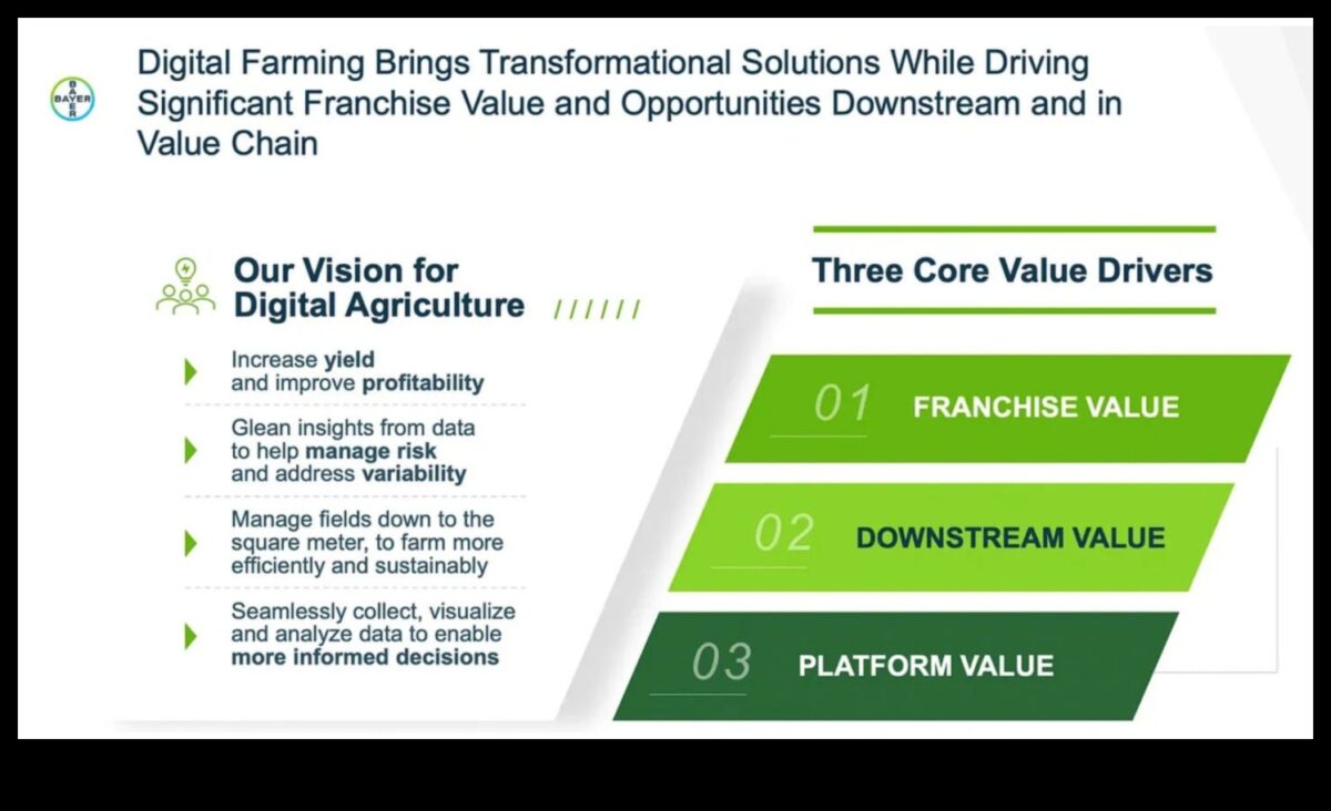 מחזון לערך: שחרור כוחה של תובנה עסקית