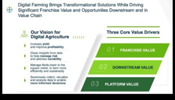 מחזון לערך: שחרור כוחה של תובנה עסקית