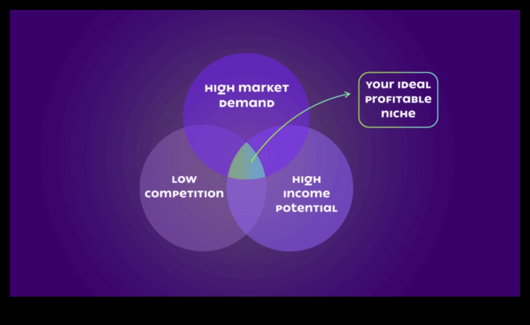 שוקי נישה נחשפו: מציאת המקום המתוק של העסק הקטן שלך
